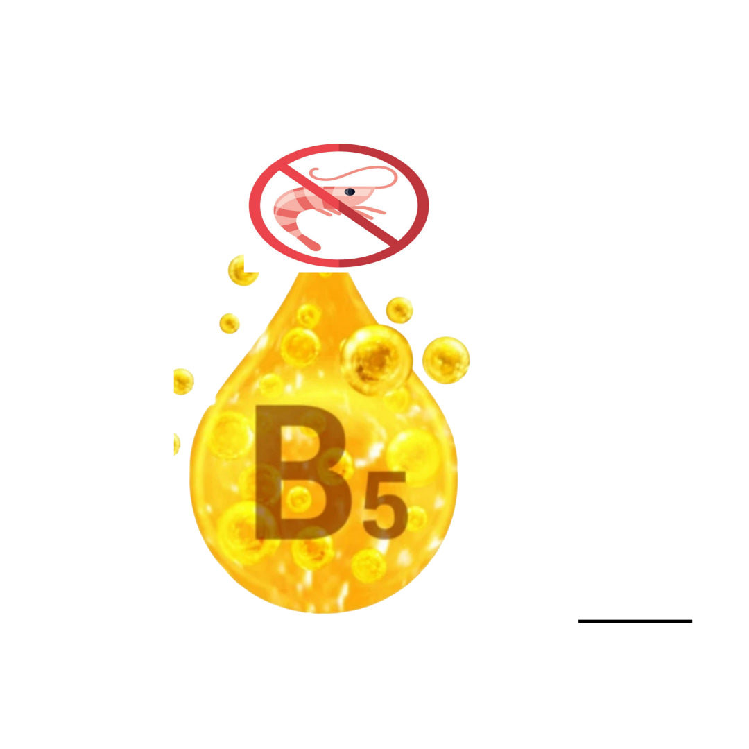 Collagen/Vitamin B5 Combo Supplement (SEAFOOD ALLERGY)