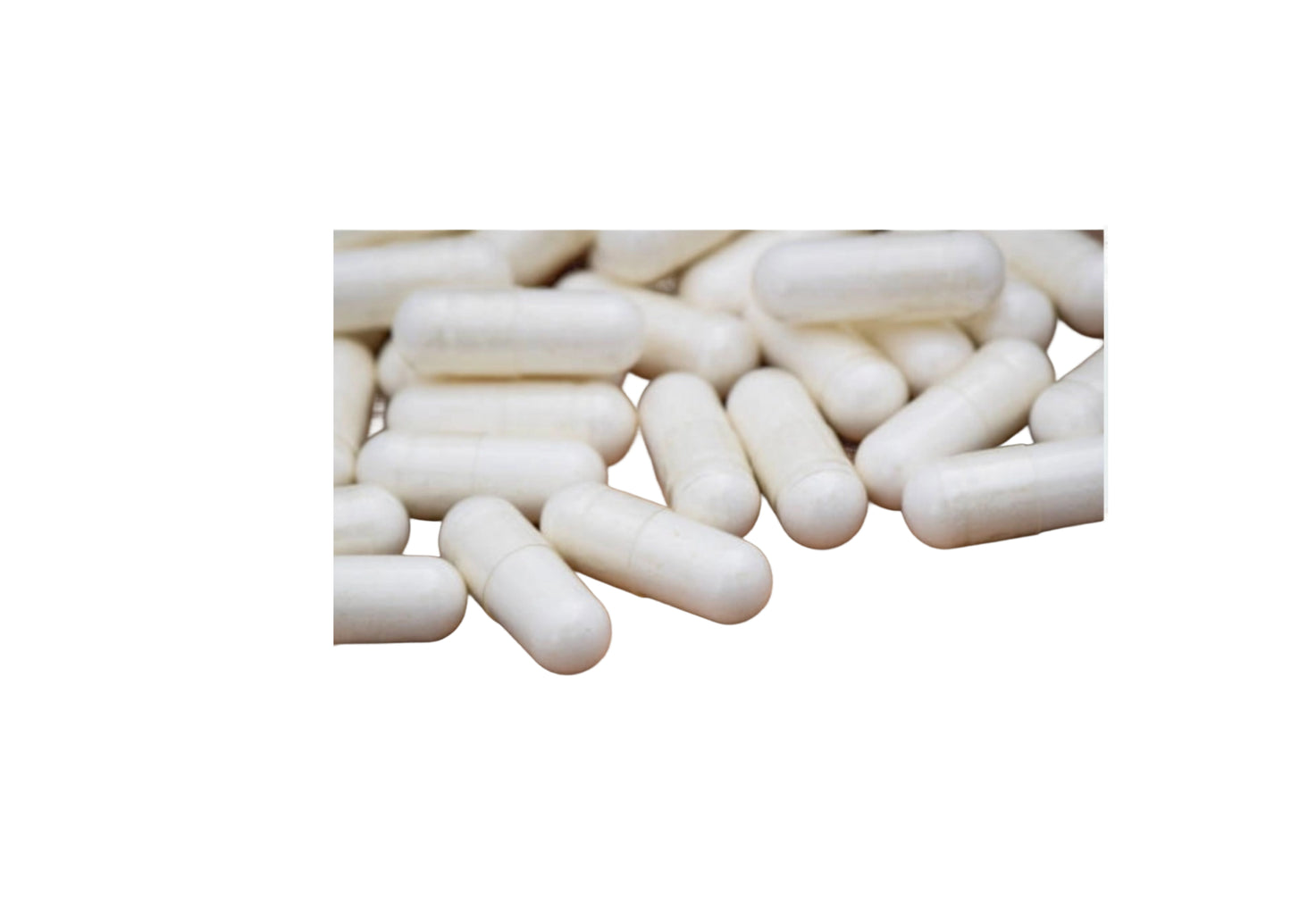 Saw Palmetto Supplement