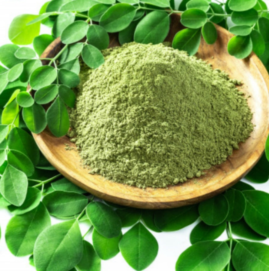 Moringa Oleifera