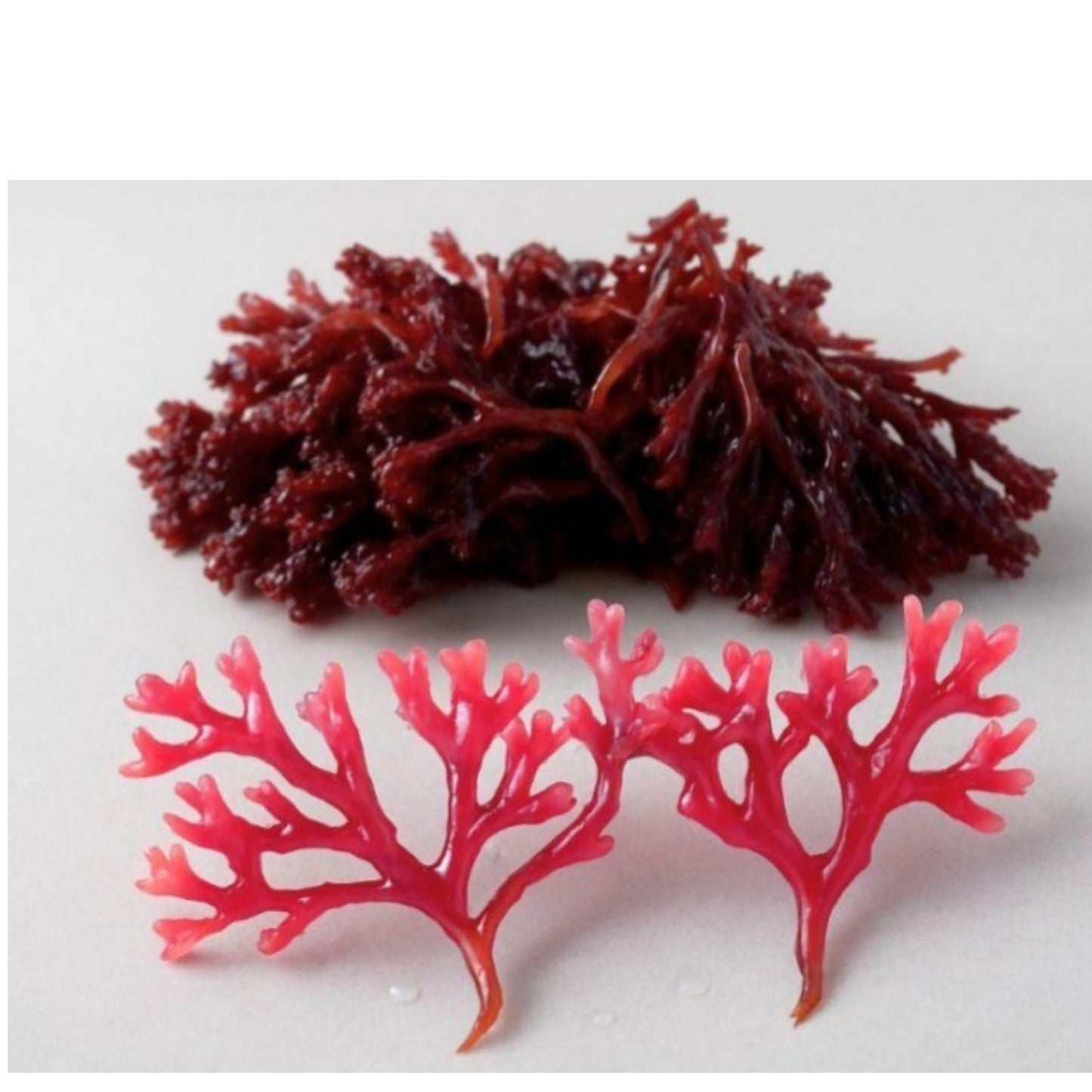 Astaxanthin Capsules